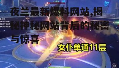 夜兰最新爆料网站,揭秘神秘网站背后的秘密与惊喜