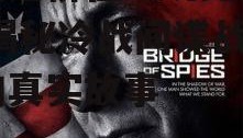 间谍之桥在线观免费观看,揭秘冷战间谍战背后的真实故事