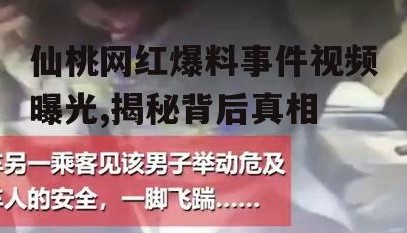 仙桃网红爆料事件视频曝光,揭秘背后真相